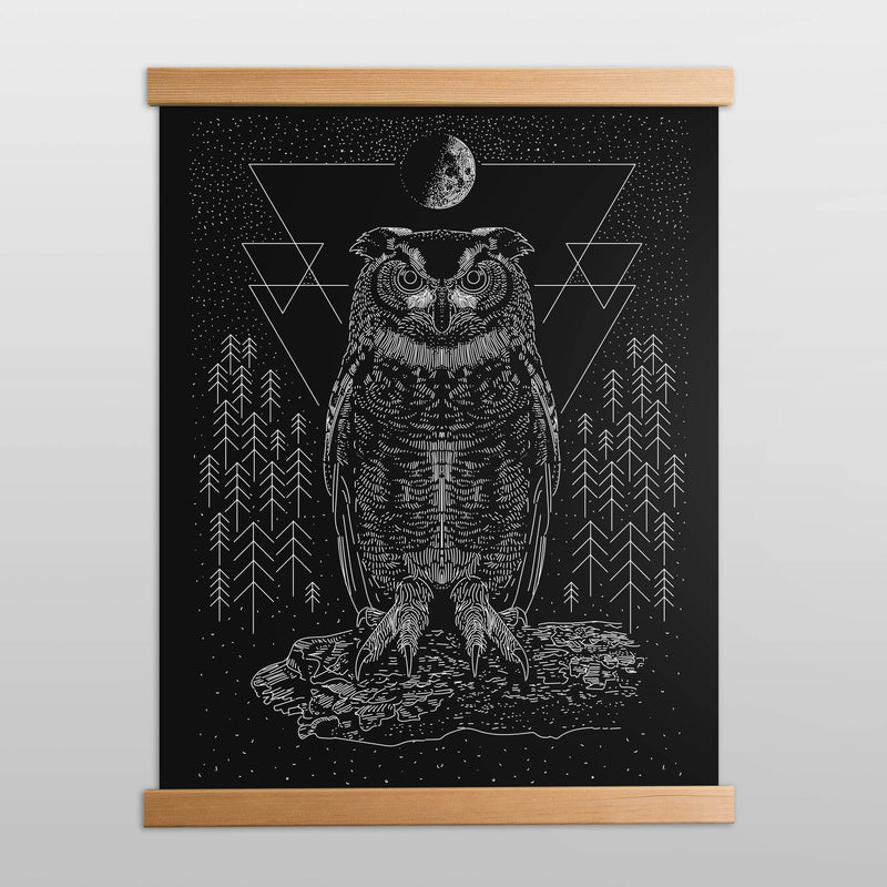 Owl Print 19x25